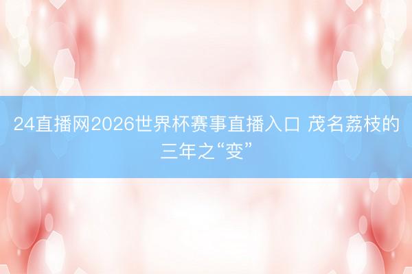 24直播网2026世界杯赛事直播入口 茂名荔枝的三年之“变”