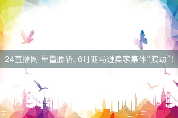 24直播网 单量腰斩， 6月亚马逊卖家集体“渡劫”!